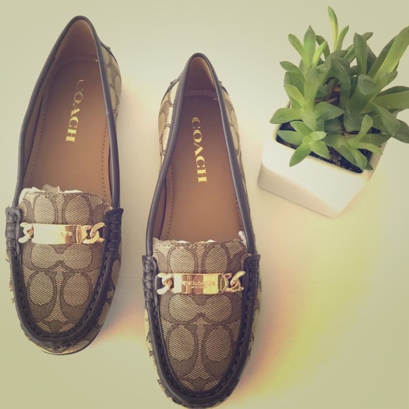 Coach Shoes - Coach olive signature printed flat sz 6.5 NWT